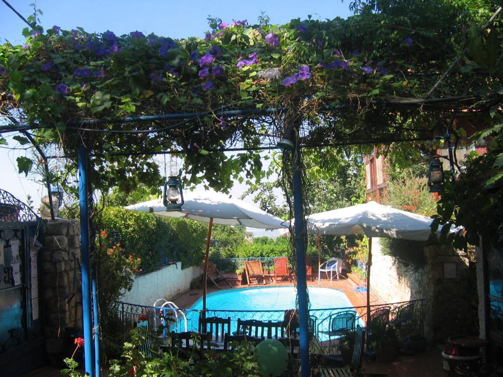 Villa Tehila - By V Club Chain Rosh Pinna Esterno foto